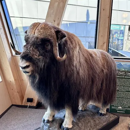 Apartment Utsikten Dronninga Andalsnes