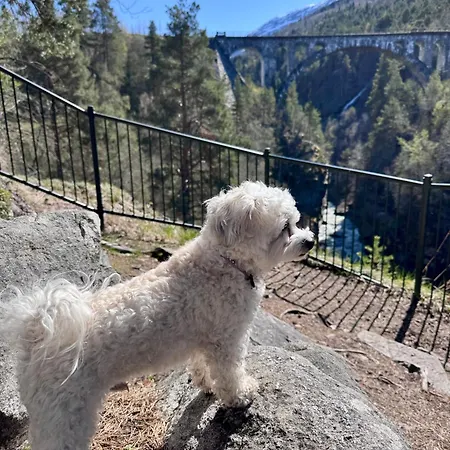 Apartment Utsikten Dronninga