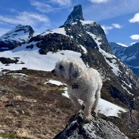 Utsikten Dronninga *