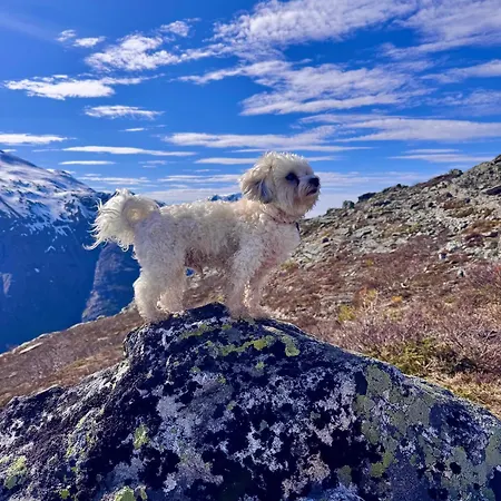 Utsikten Dronninga Åndalsnes