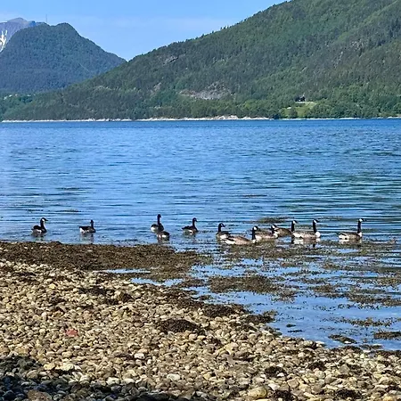 Utsikten Dronninga Lägenhet