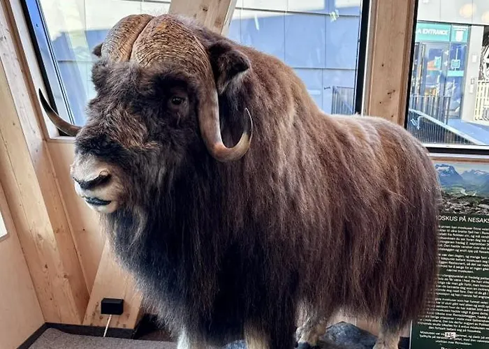 Appartement Utsikten Dronninga Åndalsnes