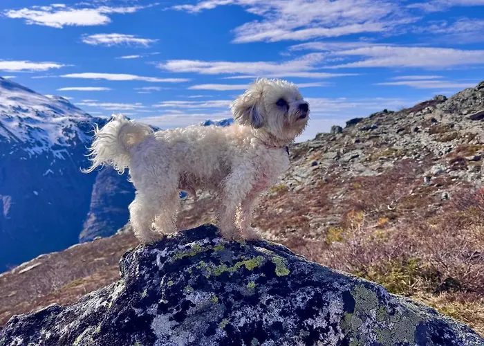 Utsikten Dronninga Åndalsnes